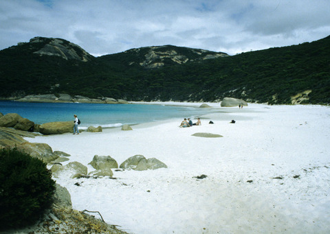 australia - white beach wa.jpg